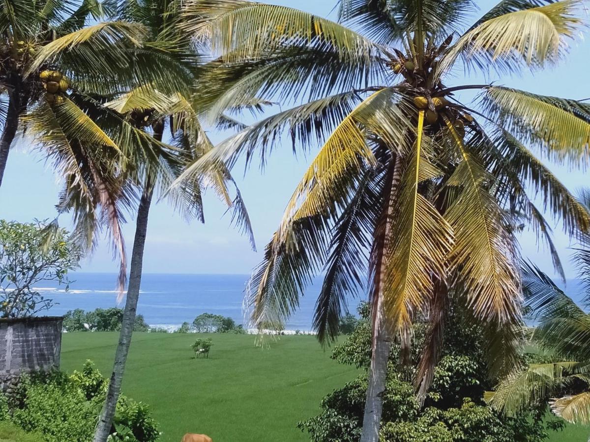 Medewi Beach View Villa Jembrana Exteriér fotografie