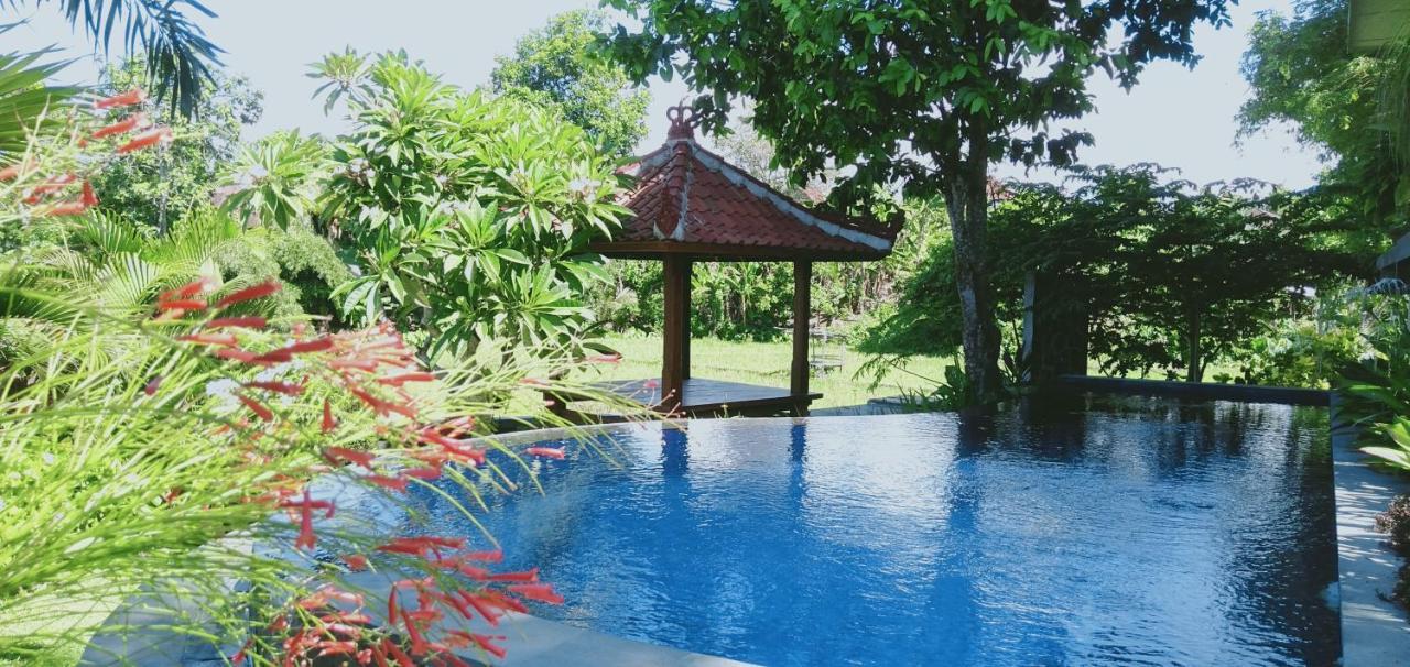 Medewi Beach View Villa Jembrana Exteriér fotografie