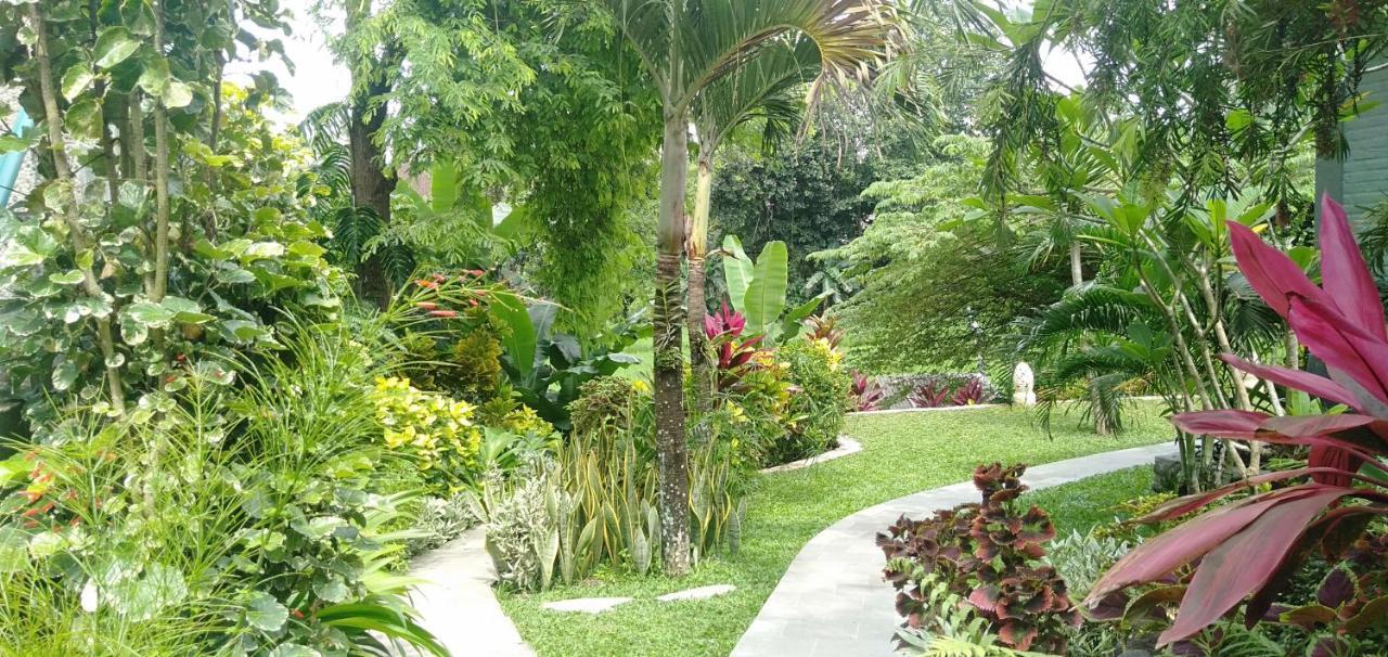 Medewi Beach View Villa Jembrana Exteriér fotografie